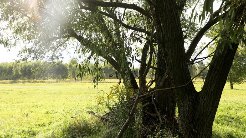 Wołomin. Znane są przyczyny zgonu dwóch nastolatek