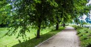 Radlin: Powstanie nowy park na Śląsku. Kiedyś był tu stadion