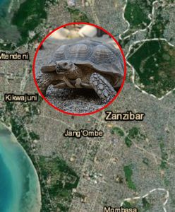 Tragedia na wyspie. Ośmioro dzieci nie żyje, kilkadziesiąt osób w szpitalu