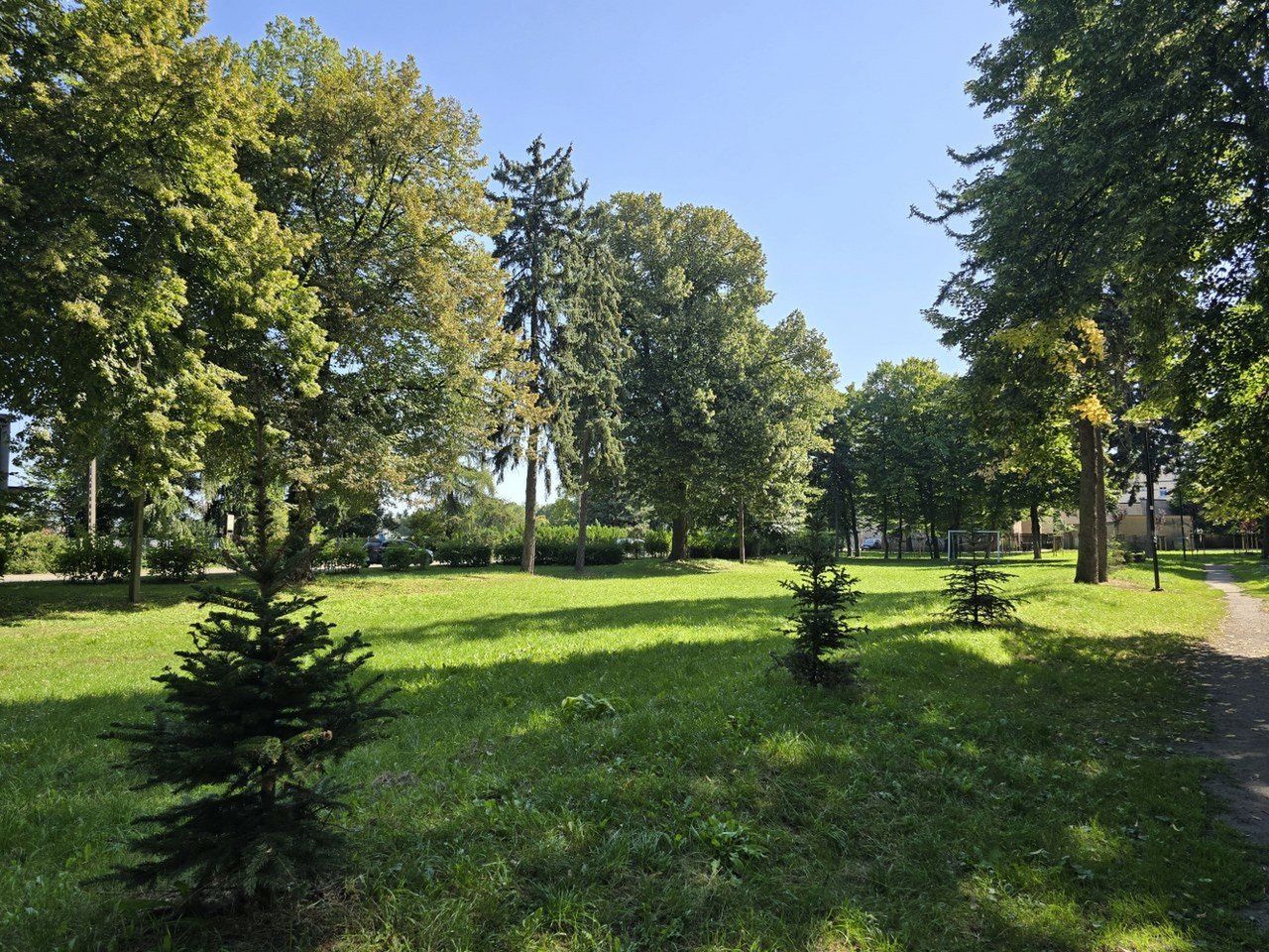 Tak dziś wygląda Park im. Leszczyńskich Satyryków. Wkrótce powstanie tu tężnia solankowa