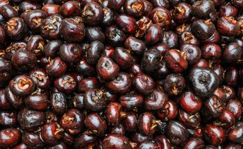 Gdy tylko je widzę, od razu kupuję i dodaje do wielu dań. Złoto dla mózgu i wątroby