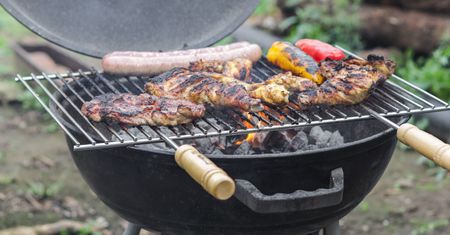 Nigdy nie wyrzucaj resztek po grillowaniu. Twój ogród szybko ci za to podziękuje