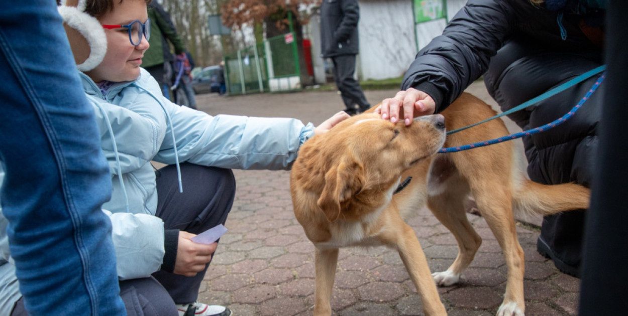 Toruń: Mieszkańcy ruszyli na spacer z psami ze schroniska