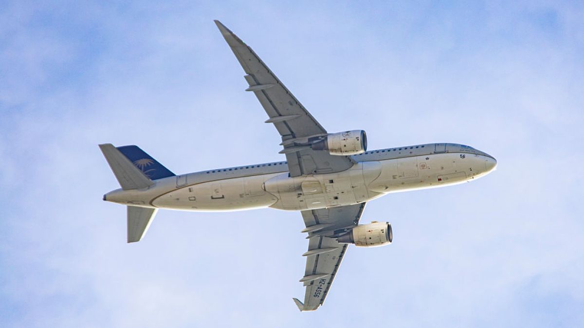 Kilkadziesiąt psów z właścicielami zostało ewakuowanych z Bliski