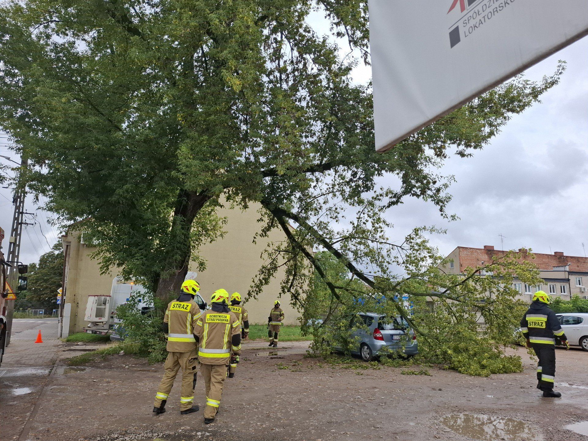 Konar przygniótł samochód na parkingu na tyłach Ratusza