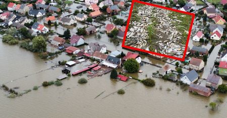 Fala przeszła przez Wrocław. Woda odsłoniła przygnębiający widok