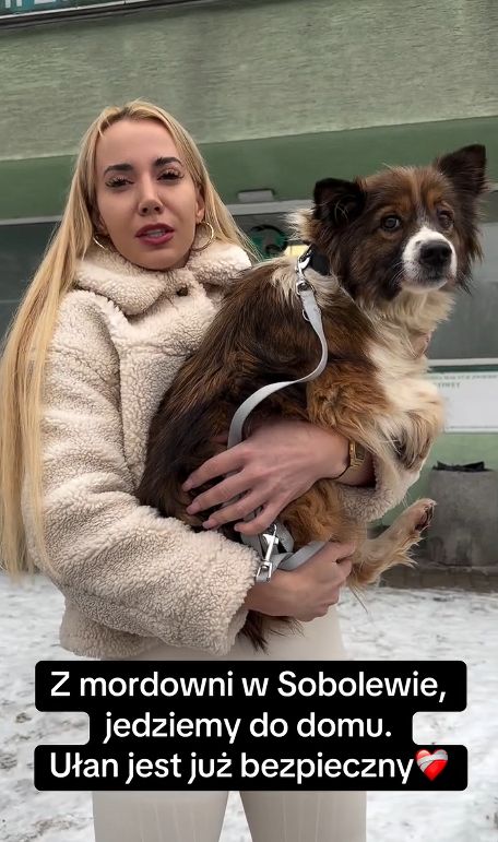 Marianna Schreiber i pies uratowany ze schroniska w Sobolewie