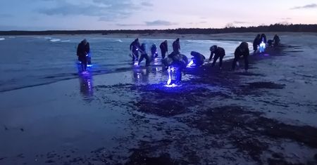 "Niech postawią fotoradary!". Uwaga na samochody na plażach
