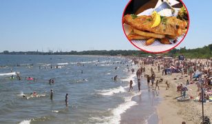 Sanepid wziął pod lupę smażalnie ryb. Są wyniki kontroli