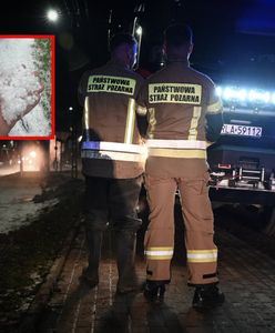 Dramatyczna noc na Podkarpaciu. Tak wyglądają miasta po nawałnicy