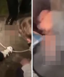 Żywcem ugotowali ptaki. Wstrząsającym nagraniem pochwalili się w sieci