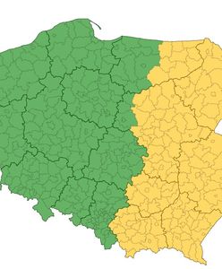 Pogoda znów namiesza. Ostrzeżenia IMGW przed burzami w ponad 100 powiatach