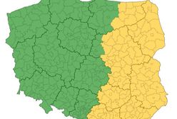 Pogoda znów namiesza. Ostrzeżenia IMGW przed burzami w ponad 100 powiatach