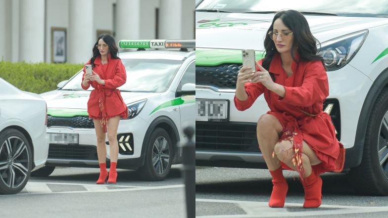 Justyna Steczkowska spowodowała stłuczkę