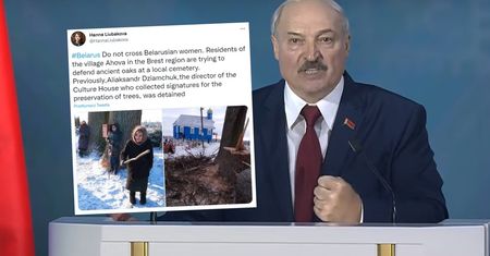 Ludzie Łukaszenki przyszli ściąć dęby. Tego się nie spodziewali