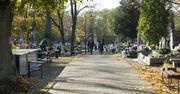 Rząd szykuje rewolucję! Przegapisz ten termin, konsekwencje będą ogromne