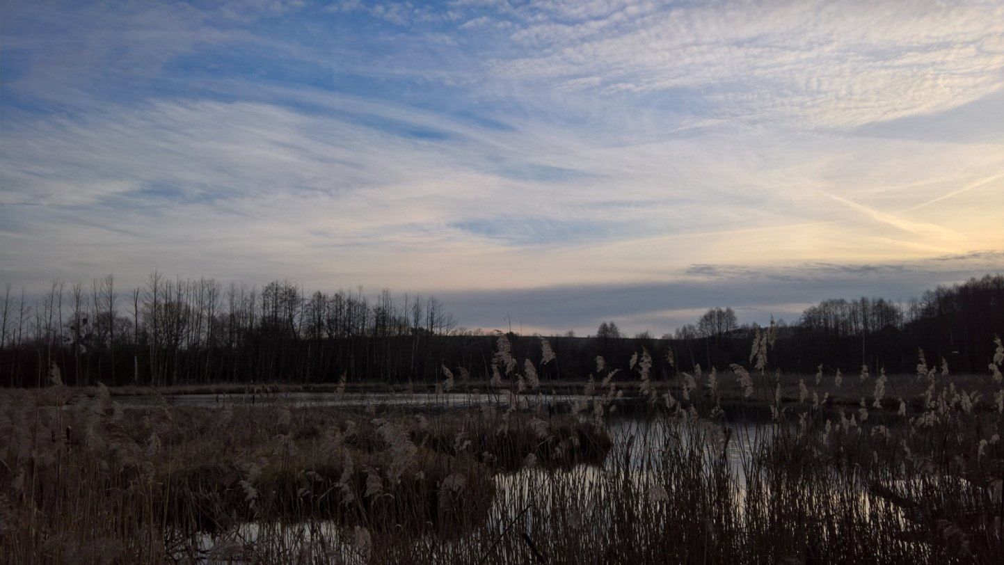 Microsoft Lumia 950 - test i recenzja 34