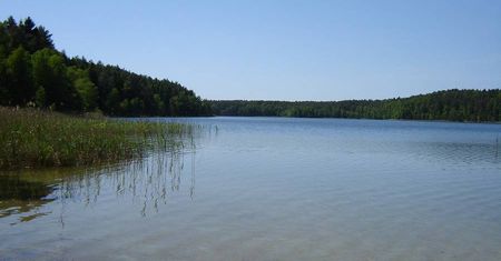 Zwłoki w jeziorze Piaseczno. To 84-latek z Lublina