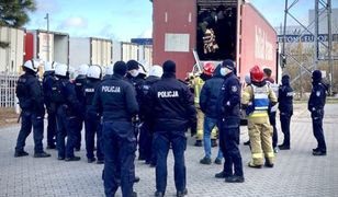 Koło Radzymina Turek usłyszał hałas z naczepy. Błyskawiczna akcja służb