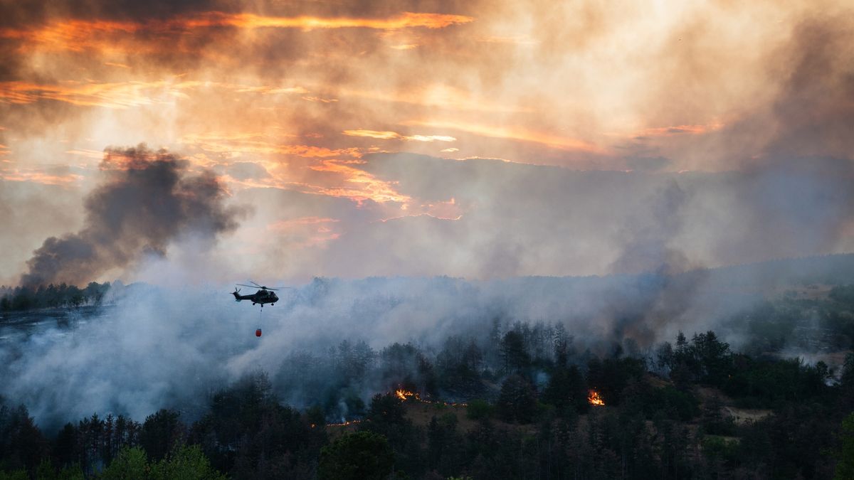 Ogień trawi lasy w Bułgarii