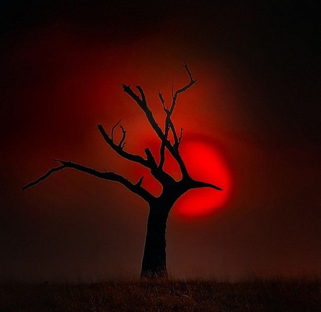 Fotografia przyrodnicza - 15 inspirujących zdjęć dla miłośników przyrody [galeria] 15