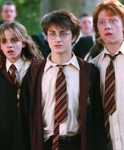 HBO zrealizuje serial o Harrym Potterze. Pojawiły się pierwsze wezwania do bojkotu