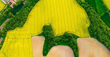 "Pudelkowy Lasek" na Dolnym Śląsku. "Cudownie się prezentuje"