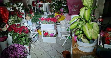 "Romantyk" włamał się do kwiaciarni. Oto jak się tłumaczył