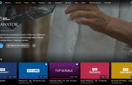 Kolejny kanał TVP zmieni logo? Na razie w TVP VOD