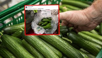 "Uwierzycie?". Taki widok na straganie. Aż zrobiła zdjęcie