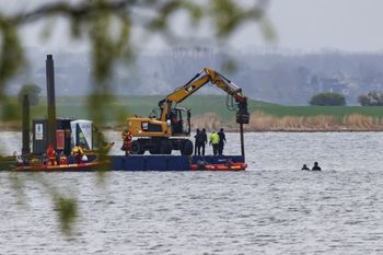 Humbak Timmy uwięziony na Bałtyku. Niemcy próbują mu pomóc