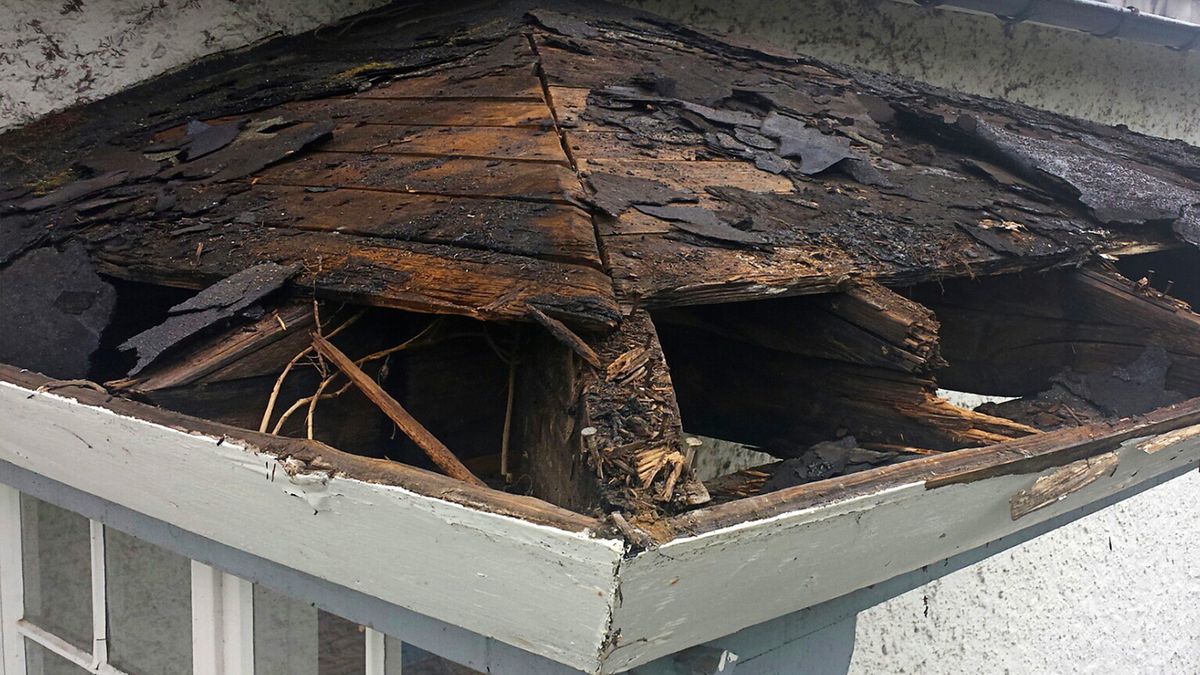 Podczas remontu dachu znalazł skarb z czasów I wojny światowej (zdj. ilustracyjne)