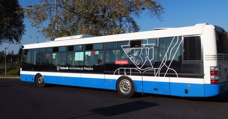 Rybnik. Tanio, szybko i wygodnie. Autobusy dowiozą na miejskie kąpieliska