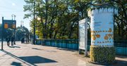 Poznań: Rozdają nasiona dla pszczół. Nietypowa akcja na ulicach miasta