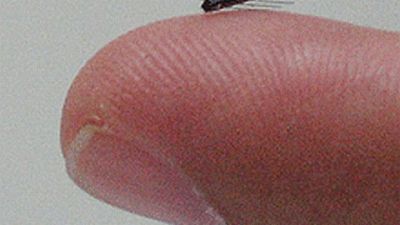 Izraelski robocik wpełznie w żyły chorego i zniszczy komórki nowotworowe 1