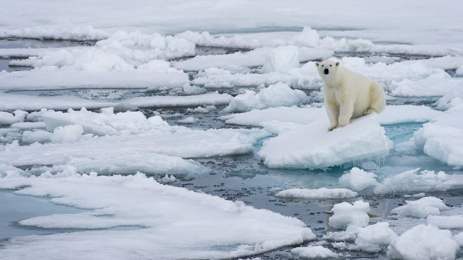 Zmiany klimatyczne zagrażają Arktyce