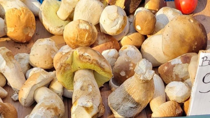 Największe borowiki kosztują nawet 90–100 złotych za kilogram