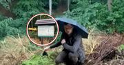 Wyrzucali do lasu. "Przecież to natura". Leśnik aż usiadł w stogach