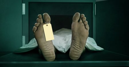 To może dziać się tuż przed śmiercią. Naukowcy znaleźli dowód