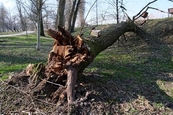 Żółty alert IMGW dla Lubelszczyzny. Nadciągają burze i wiatr do 80 km/h