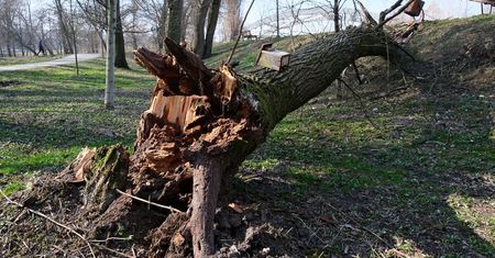 Żółty alert IMGW dla Lubelszczyzny. Nadciągają burze i wiatr do 80 km/h