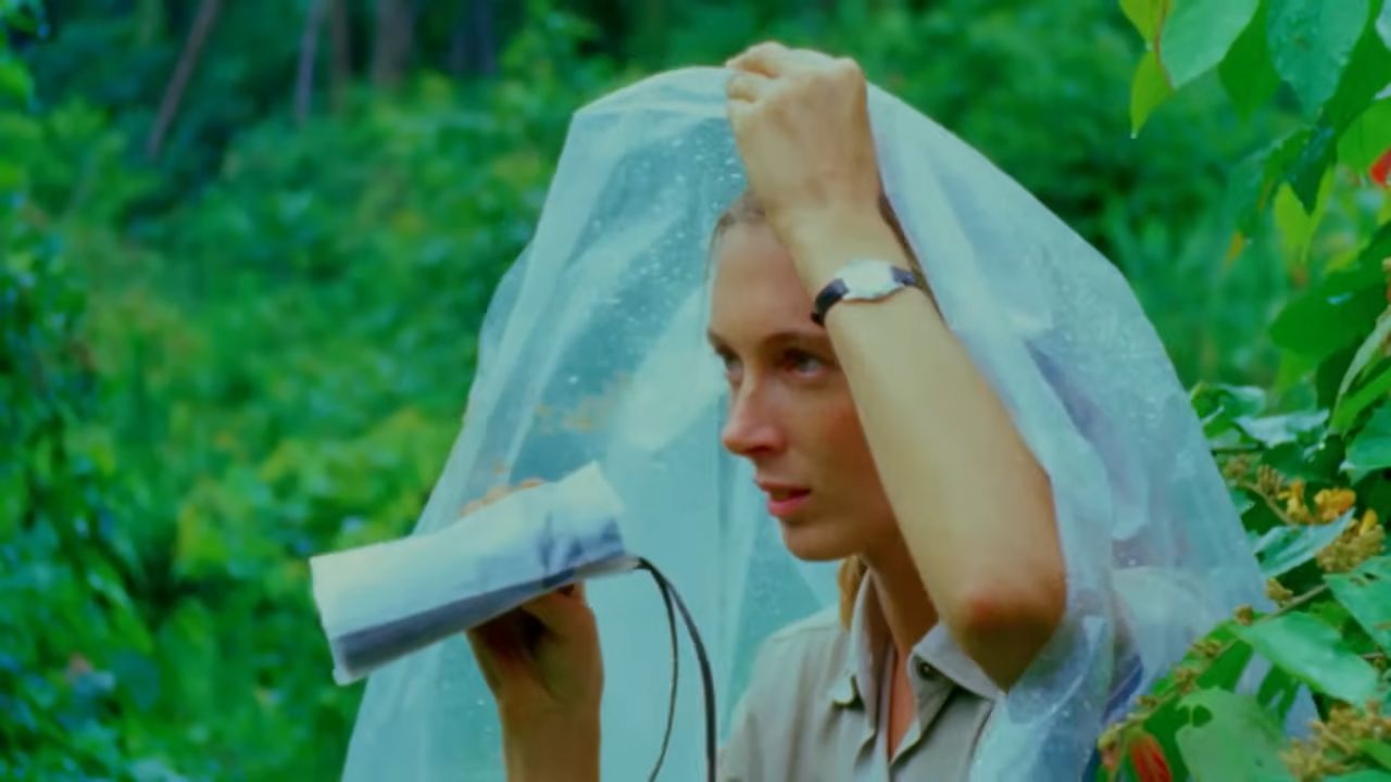 "Spektakularny". Zachwycający film obejrzysz w domu
