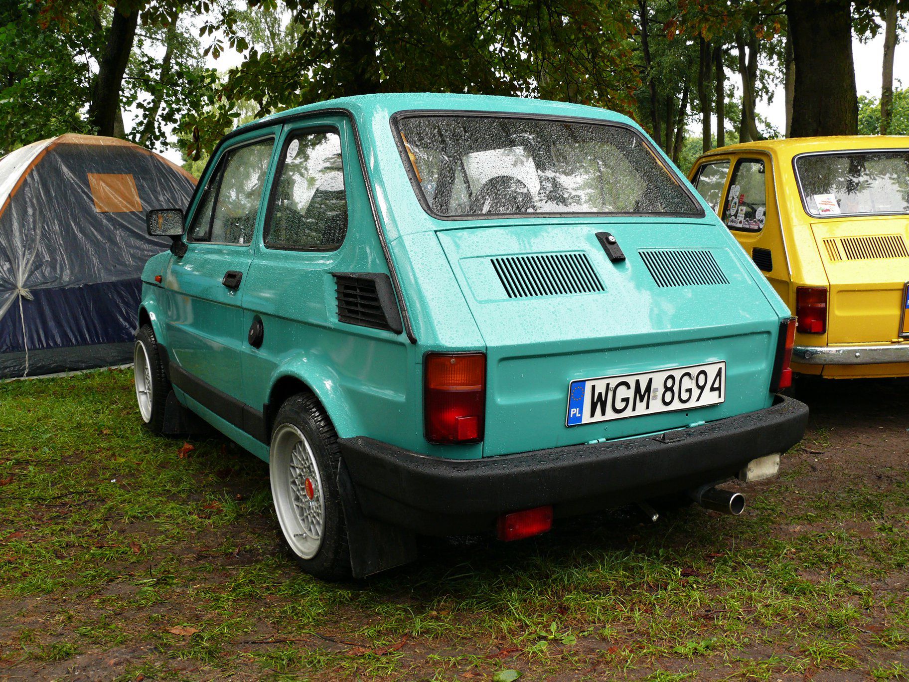 Obraz