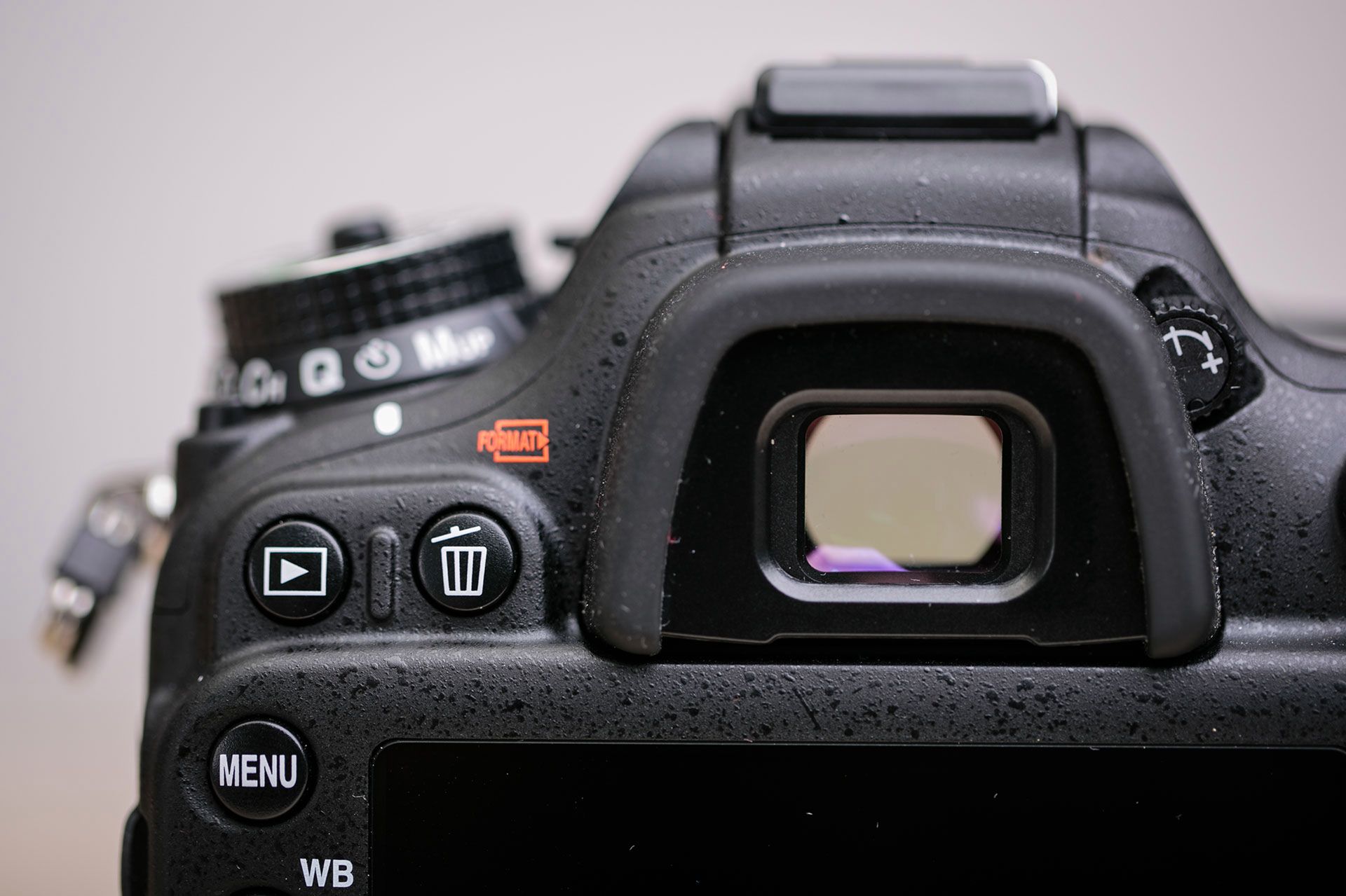 Nikon D7100 - nowa jakość średniej klasy [test] 4