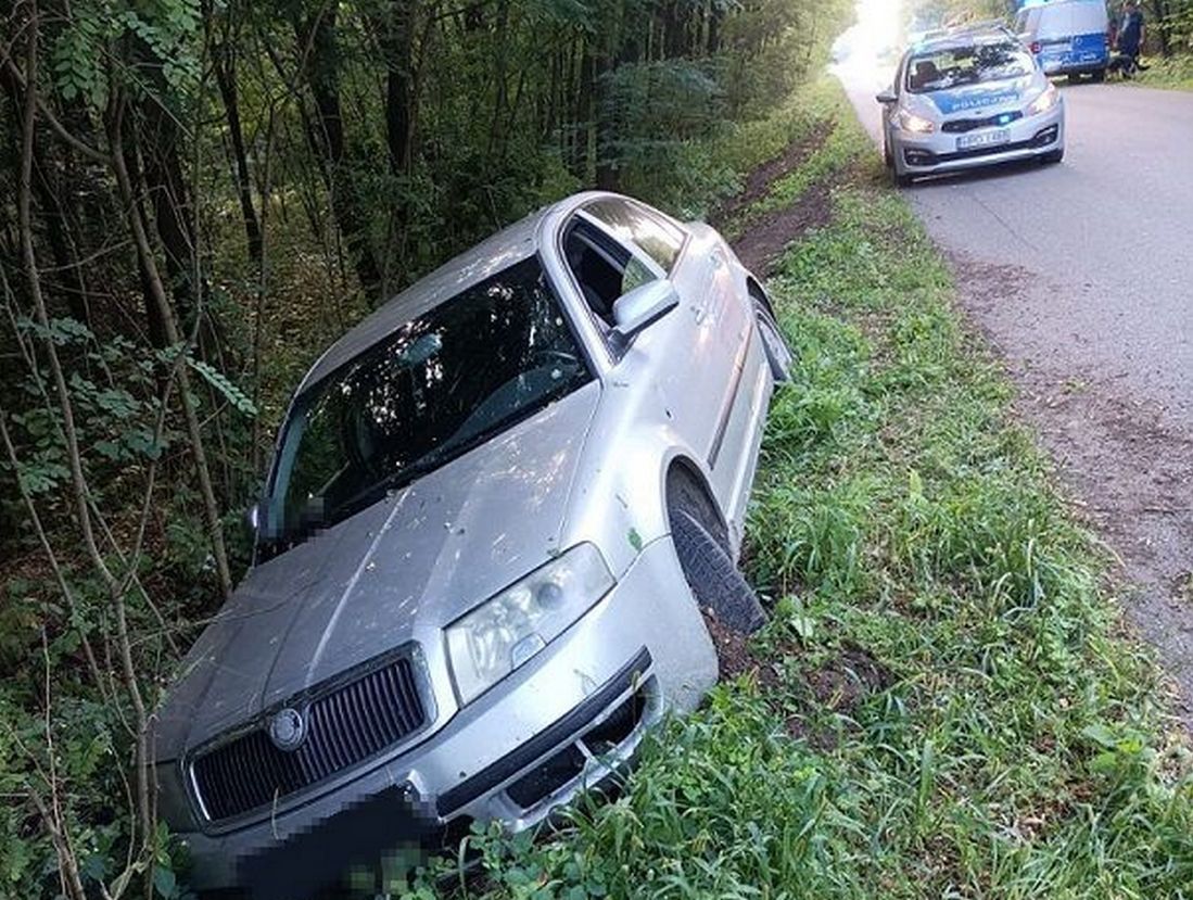 Próbował okłamać policjantów, służbowego psa nie zdołał wywieść w pole