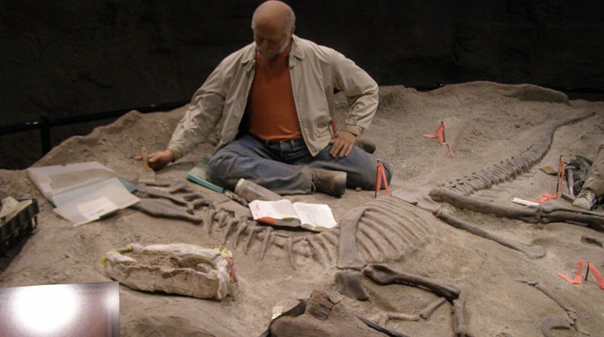 Tajemniczy wał w Lesie Powiślańskim. Archeolodzy badają założenia