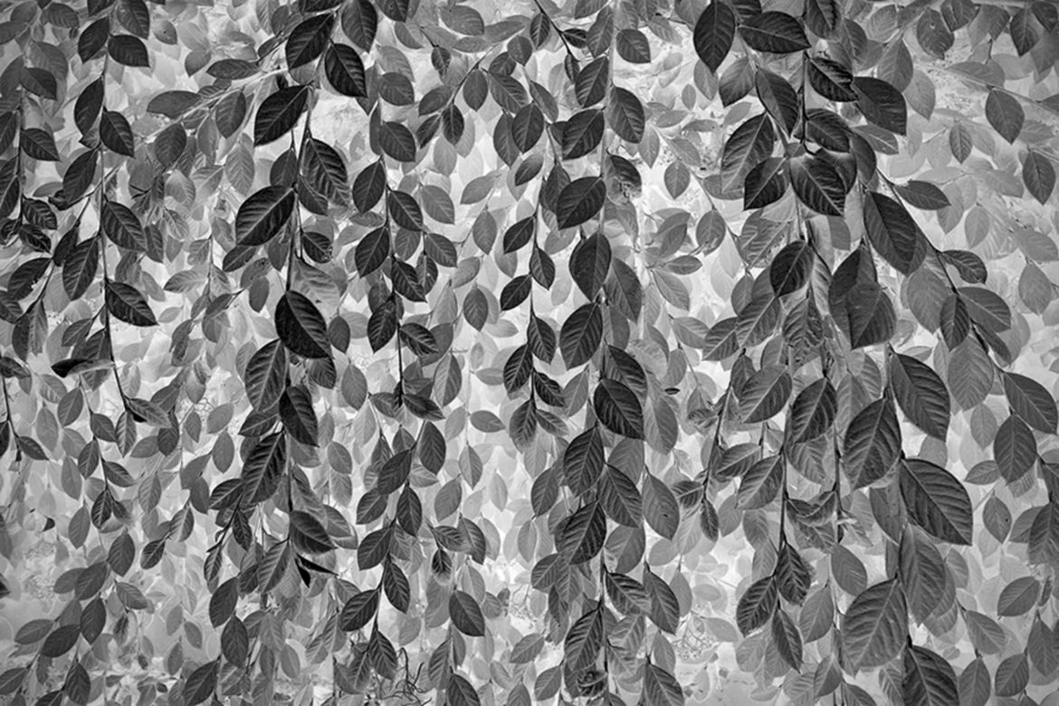Wielu Polaków na podium w konkursie Monochrome Photography Awards 2017 7