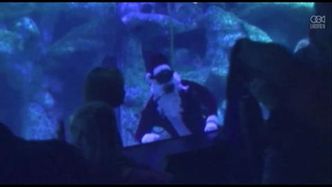 Nurek przebrany za Świętego Mikołaja pojawił się w Akwarium w Oklahomie