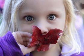 Rozwój dziecka - 20 miesiąc