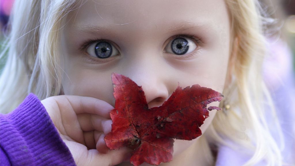 Rozwój dziecka - 20 miesiąc